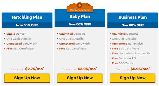 Hostgator hosting options