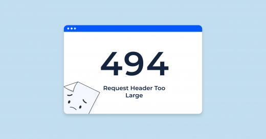 What Is 494 Error: Meaning and How to Fix Issue