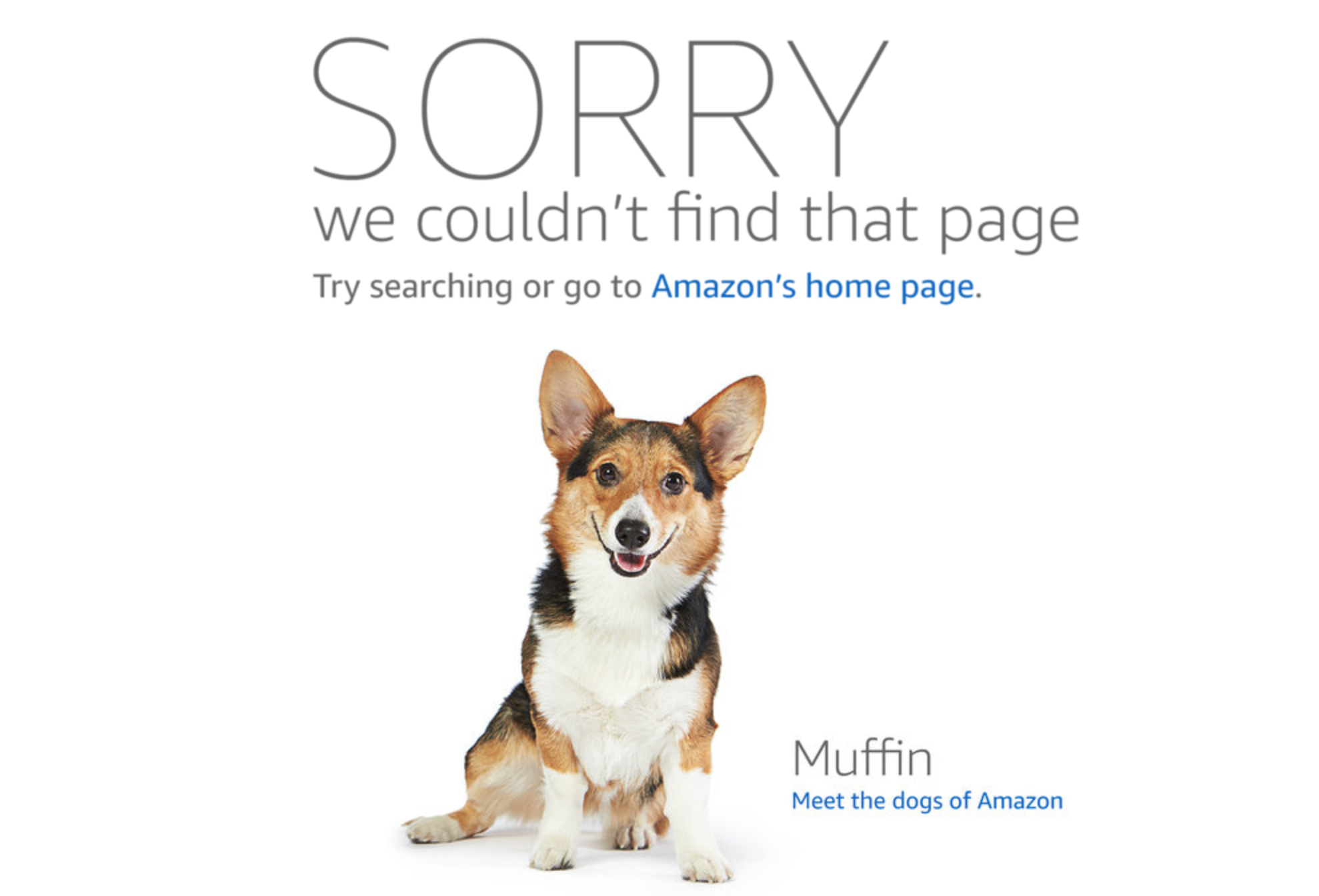 Amazon’s custom 404 page