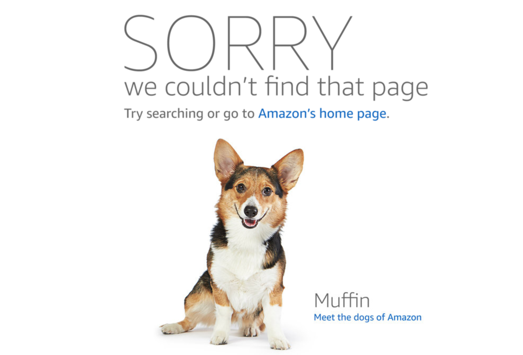 Amazonのカスタム404ページ