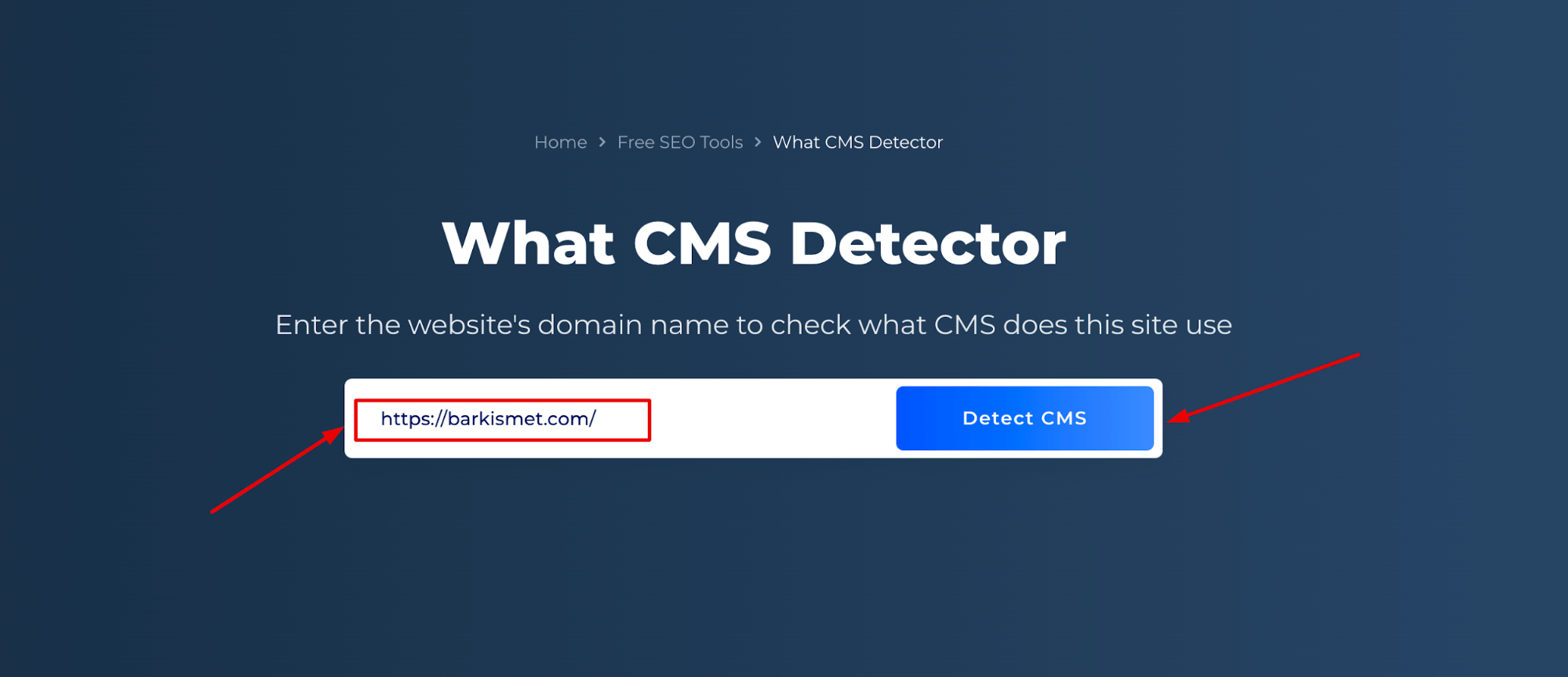 Detector CMS