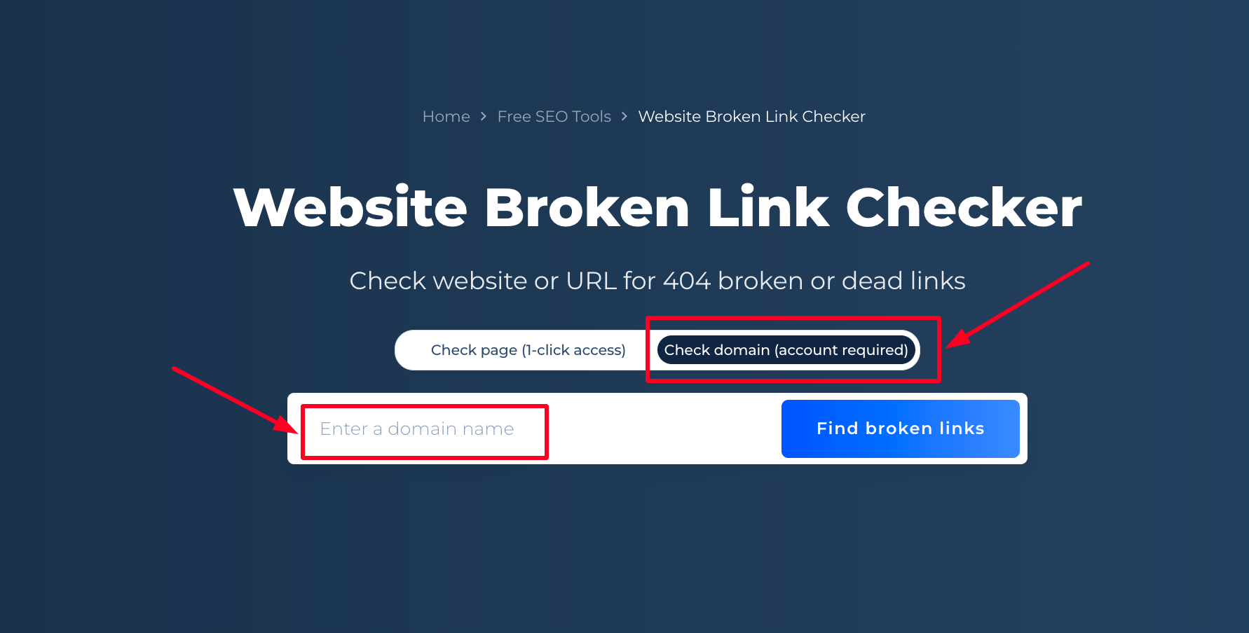 Domain Check Broken Link Checker