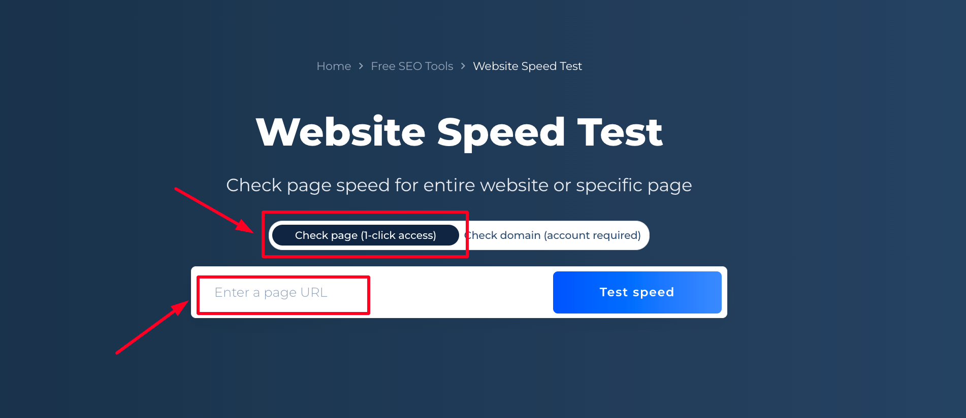 Speed Test Page Check